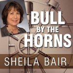 Bull by the Horns Lib/E: Fighting to Save Main Street from Wall Street and Wall Street from Itself