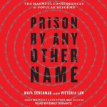 Prison by Any Other Name Lib/E: The Harmful Consequences of Popular Reforms