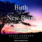 Birth of a New Brain Lib/E: Healing from Postpartum Bipolar Disorder