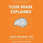 Your Brain, Explained: What Neuroscience Reveals about Your Brain and Its Quirks
