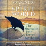 Awakening to the Spirit World Lib/E: The Shamanic Path of Direct Revelation