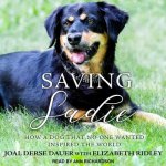 Saving Sadie Lib/E: How a Dog That No One Wanted Inspired the World