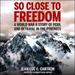 So Close to Freedom: A World War II Story of Peril and Betrayal in the Pyrenees
