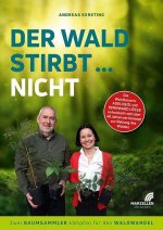 Der Wald stirbt... nicht