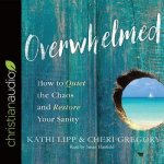 Overwhelmed Lib/E: How to Quiet the Chaos and Restore Your Sanity