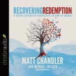 Recovering Redemption Lib/E: A Gospel Saturated Perspective on How to Change