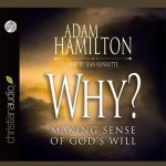 Why? Lib/E: Making Sense of God's Will