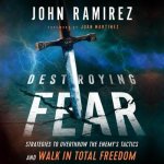 Destroying Fear Lib/E: Strategies to Overthrow the Enemy's Tactics and Walk in Total Freedom