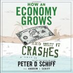 How an Economy Grows and Why It Crashes Lib/E