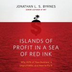 Islands of Profit in a Sea Red Ink: Why 40% of Your Business Is Unprofitable, and How to Fix It