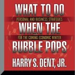 What to Do When the Bubble Pops Lib/E: Personal and Business Strategies for the Coming Economic Winter