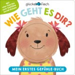 Wie geht es dir?  Mein erstes Gefuhle-Buch