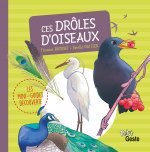 Les P'tits Secrets Des Droles D'oiseaux