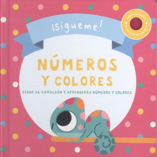 SIGUEME NUMEROS Y COLORES
