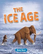 Reading Planet: Astro - The Ice Age - Venus/Gold band