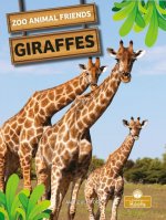 Giraffes