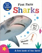 First Facts Sharks