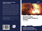 Лесной пожар Катастрофа