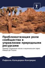 Проблематизация роли со&