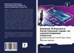Влияние М-банкинга Качес