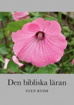 Den bibliska laran