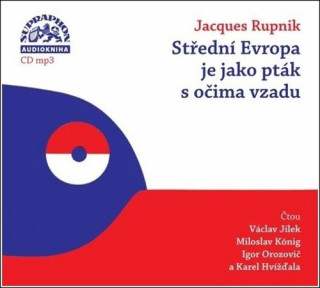 Stďż˝ednďż˝ Evropa je jako ptďż˝k s oďż˝ima vzadu