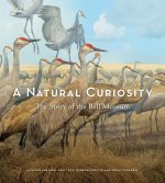 Natural Curiosity