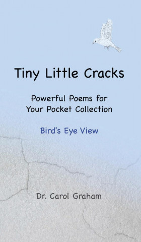 Tiny Little Cracks