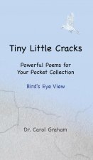 Tiny Little Cracks