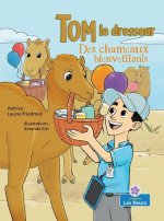 Des Chameaux Bienveillants (Caring Camels)