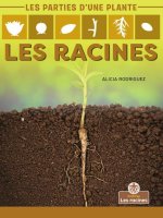 Les Racines (Roots)