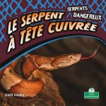 Le Serpent ? T?te Cuivrée (Copperheads)