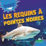 Les Requins ? Pointes Noires (Blacktip Reef Sharks)