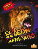 El León Africano (African Lion)