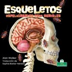Esqueletos Espeluznantes Pero Geniales (Creepy But Cool Skeletons)