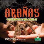 Ara?as Espeluznantes Pero Geniales (Creepy But Cool Spiders)