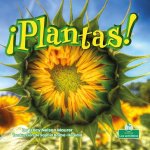 ?Plantas! (Plants!)
