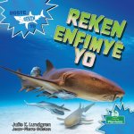 Reken Enfimy? Yo (Nurse Sharks)