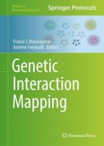 Mapping Genetic Interactions