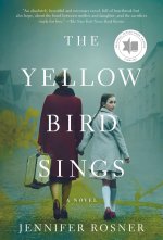 Yellow Bird Sings