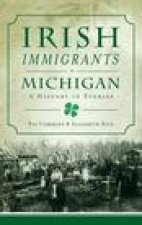 Irish Immigrants in Michigan