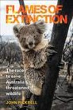 Flames of Extinction