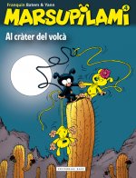 Al cràter del volcà