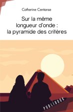 SUR LA MEME LONGUEUR D ONDE : LA PYRAMIDE DES CRITERES