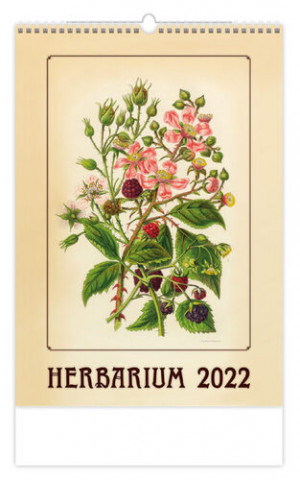 Herbarium 2022 - nástěnný kalendář