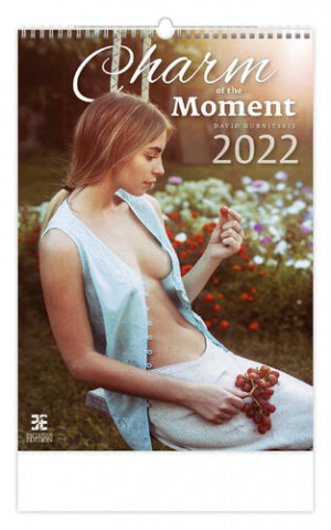 Charm of the Moment 2022 - nástěnný kalendář