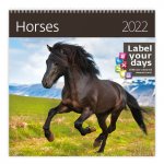 Horses 2022 - nástěnný kalendář