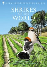 Shrikes of the World