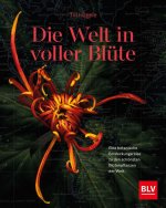 Die Welt in voller Blüte: Eine botanische Entdeckungsreise zu den schönsten Blütenpflanzen der Welt
