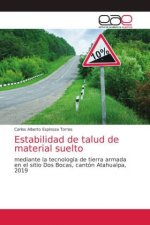 Estabilidad de talud de material suelto